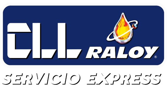 Servicio Express
